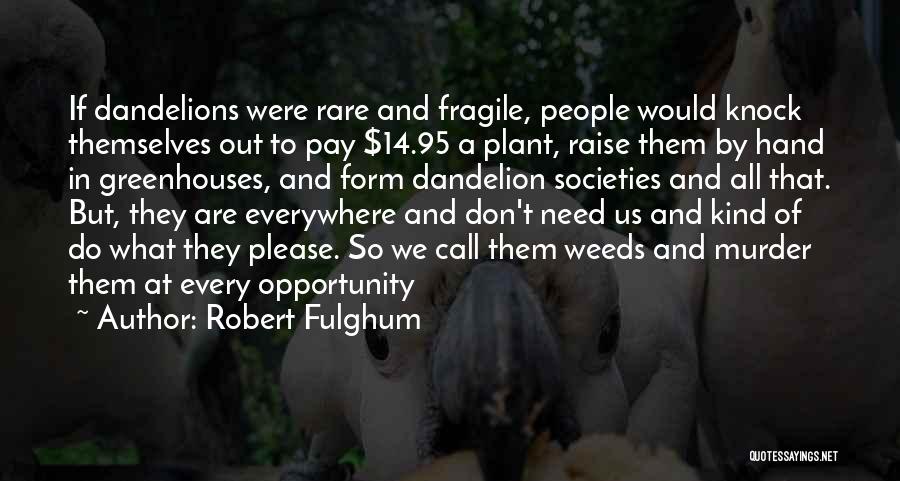 Opportunity Everywhere Quotes By Robert Fulghum