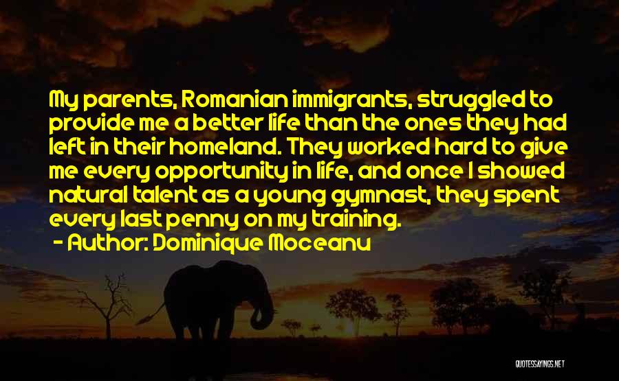 Opportunity In Life Quotes By Dominique Moceanu