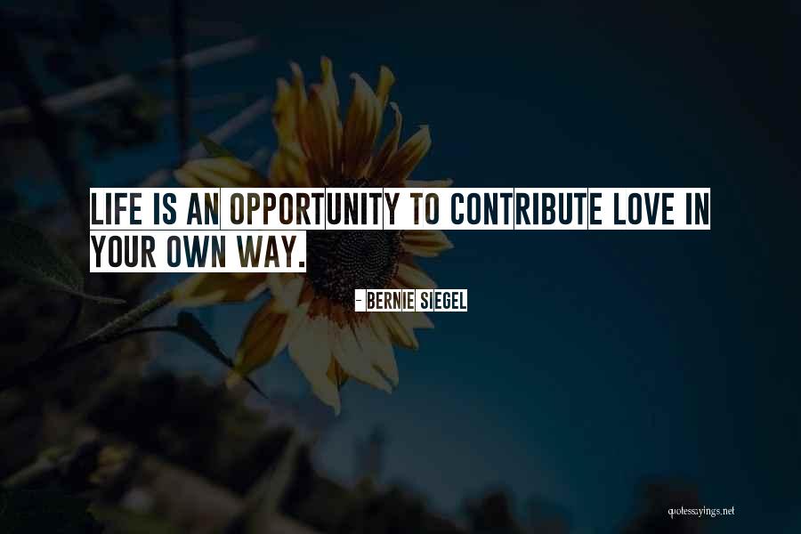 Opportunity In Love Quotes By Bernie Siegel Opportunity In Love Quotes By Bernie Siegel