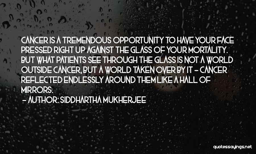 Opportunity Not Taken Quotes By Siddhartha Mukherjee