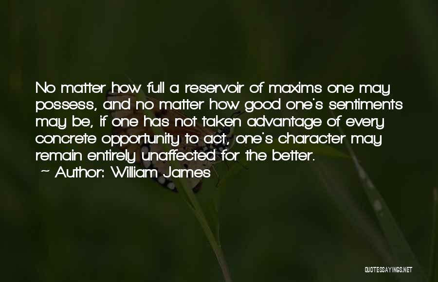 Opportunity Not Taken Quotes By William James