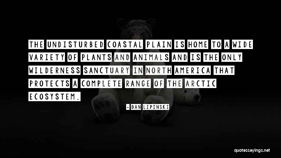 Opportunity To Shine Quotes By Dan Lipinski Opportunity To Shine Quotes By Dan Lipinski