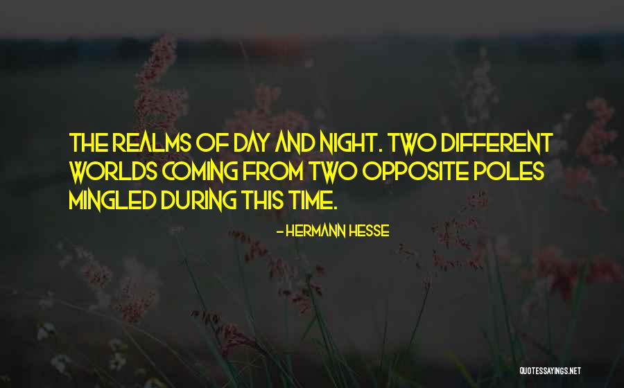 Opposite Day Quotes By Hermann Hesse