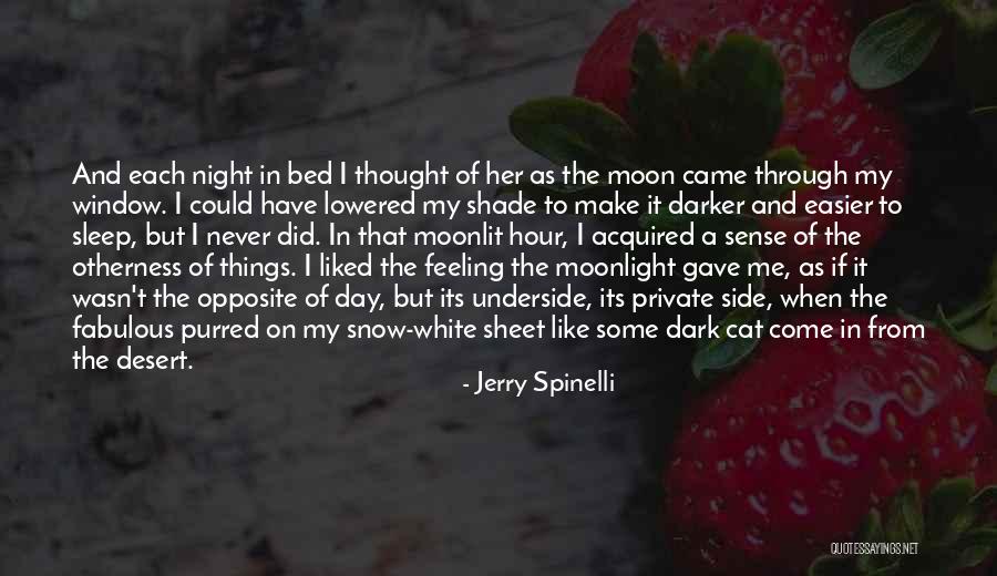 Opposite Day Quotes By Jerry Spinelli