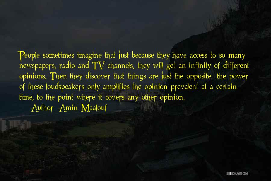 Opposite Opinions Quotes By Amin Maalouf