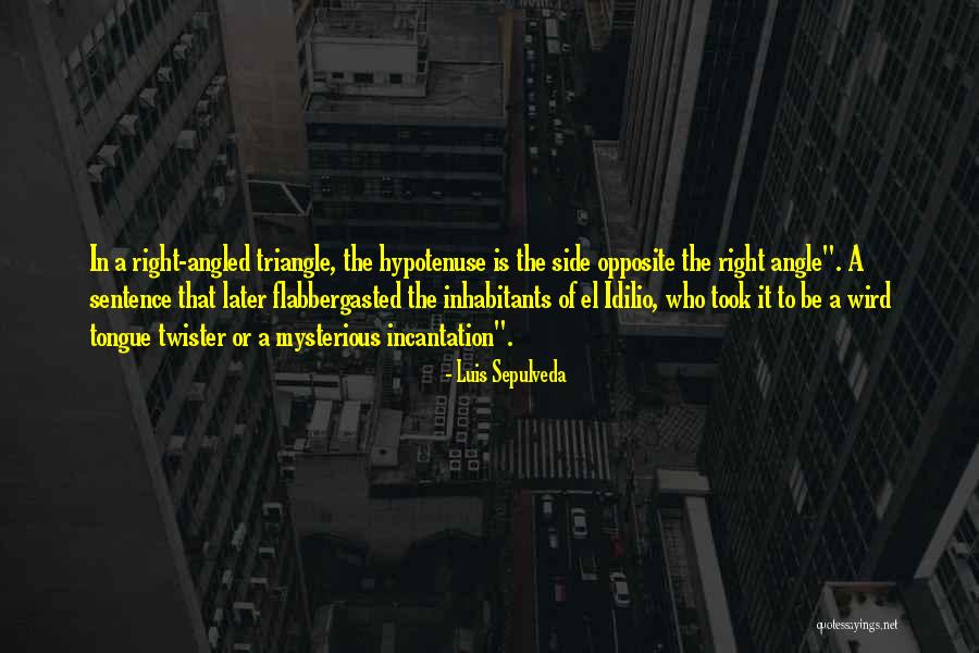Opposite Over Hypotenuse Quotes By Luis Sepulveda Opposite Over Hypotenuse Quotes By Luis Sepulveda