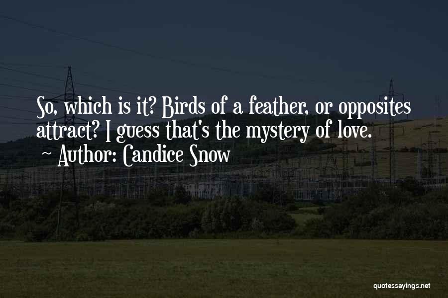 Opposites Attract Love Quotes By Candice Snow