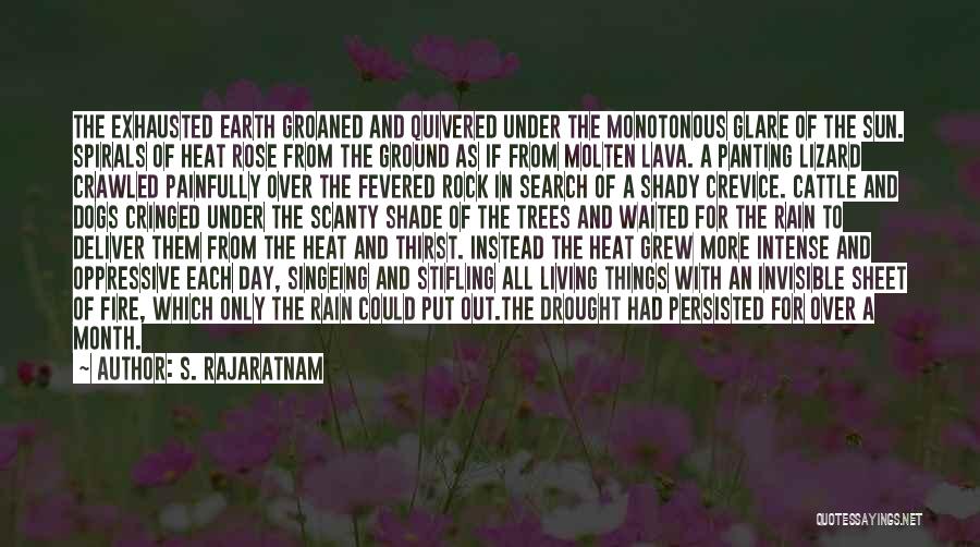 Oppressive Heat Quotes By S. Rajaratnam