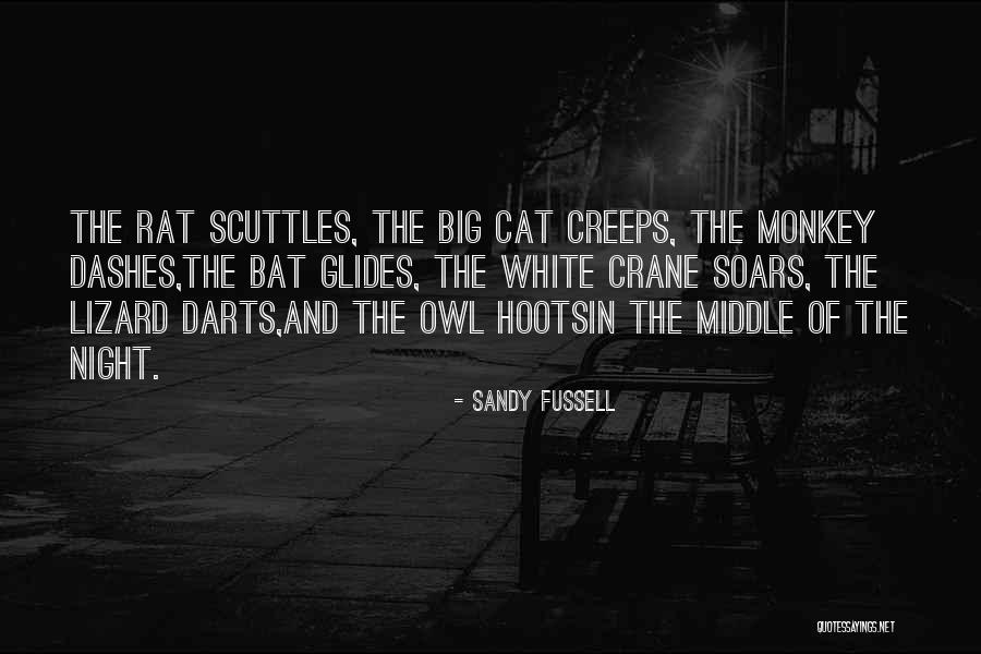 Opretice Quotes By Sandy Fussell Opretice Quotes By Sandy Fussell