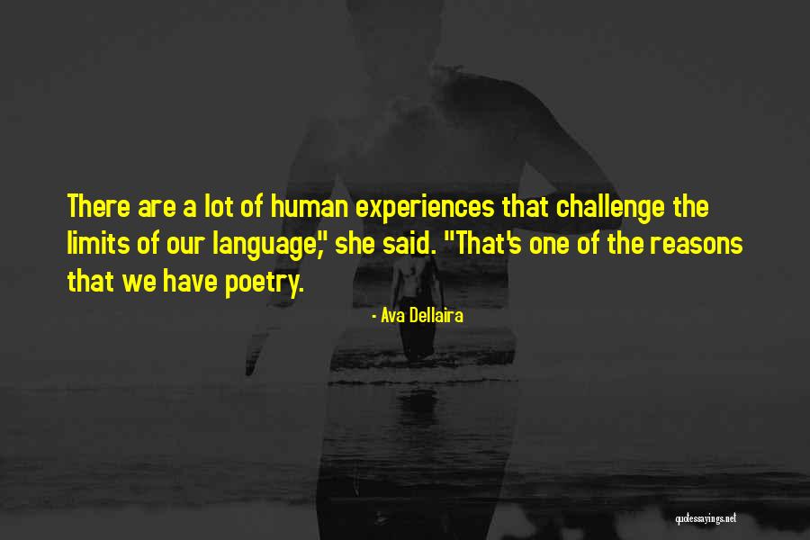 Optavit Quotes By Ava Dellaira Optavit Quotes By Ava Dellaira