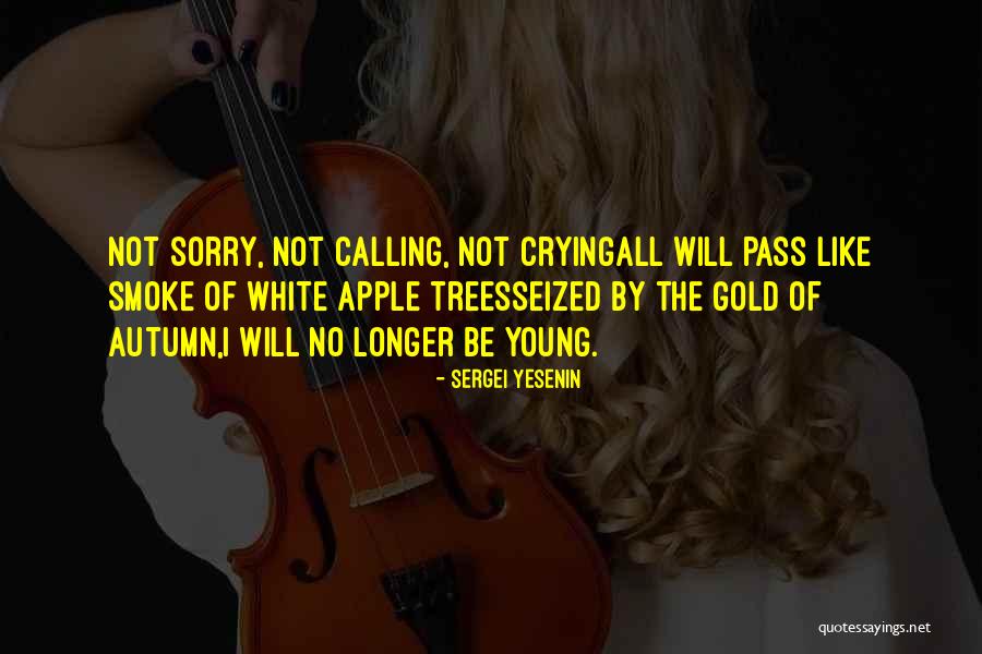 Optessimists Quotes By Sergei Yesenin Optessimists Quotes By Sergei Yesenin