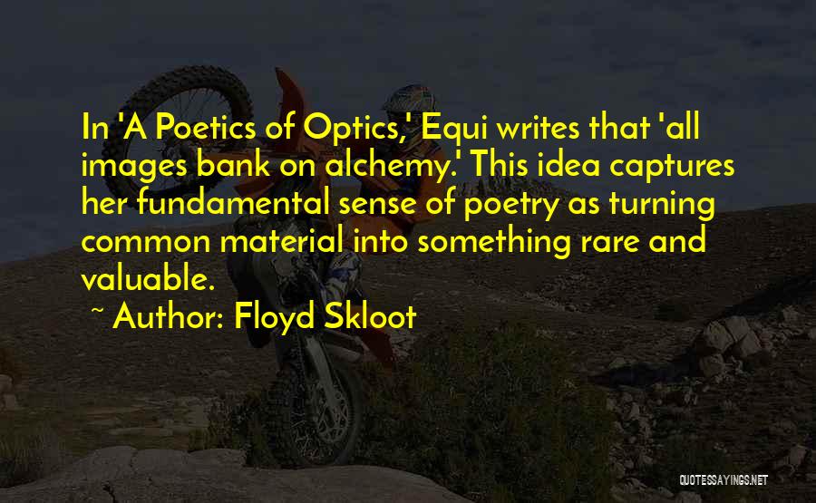 Optics Quotes By Floyd Skloot