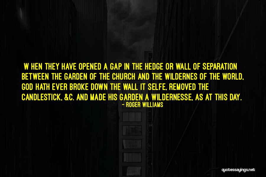 Optimism Pinterest Quotes By Roger Williams Optimism Pinterest Quotes By Roger Williams