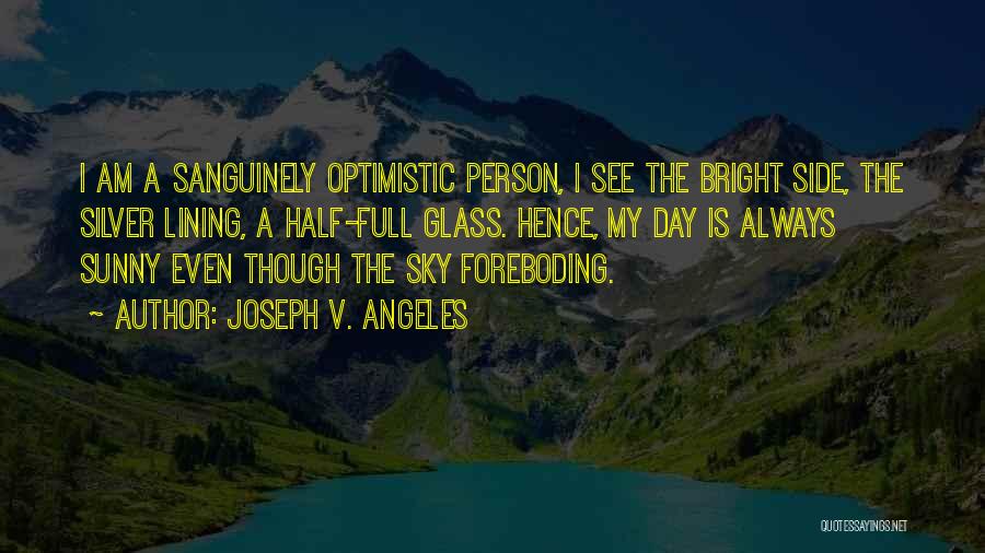 Optimistic Person Quotes By Joseph V. Angeles