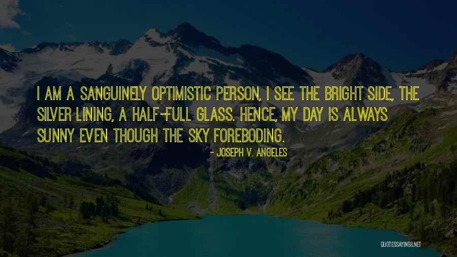 Optimistic Person Quotes By Joseph V. Angeles