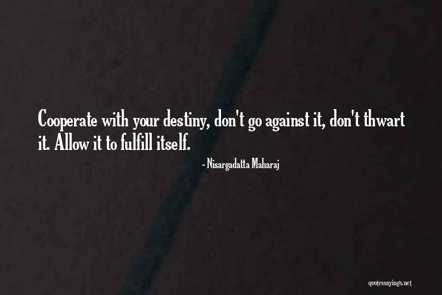 Optimizer Quotes By Nisargadatta Maharaj Optimizer Quotes By Nisargadatta Maharaj
