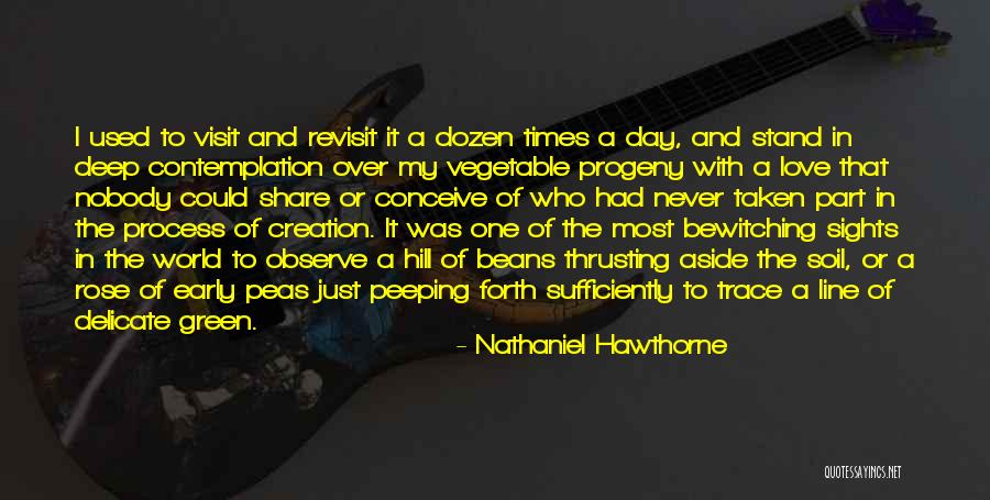 Optional Practical Training Quotes By Nathaniel Hawthorne Optional Practical Training Quotes By Nathaniel Hawthorne