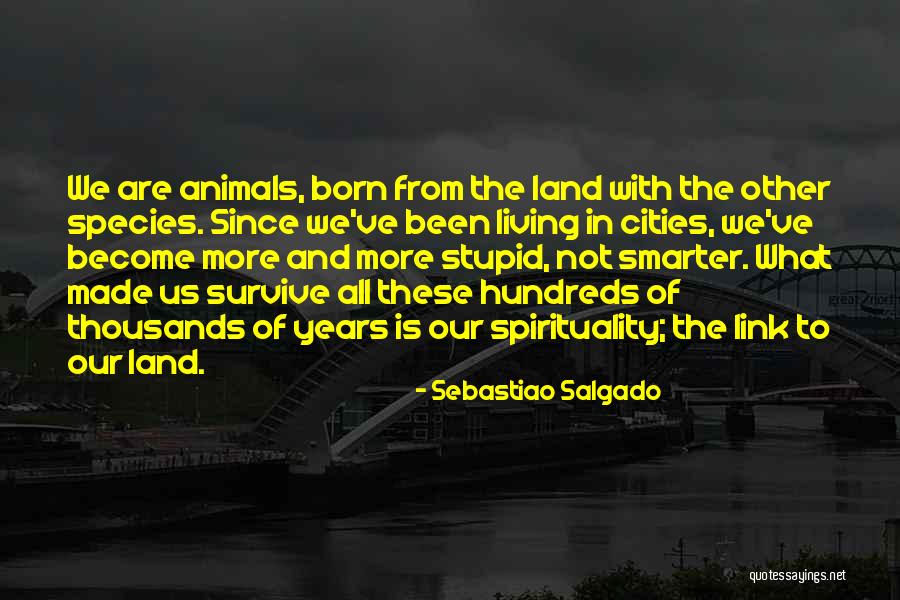 Optional Practical Training Quotes By Sebastiao Salgado Optional Practical Training Quotes By Sebastiao Salgado
