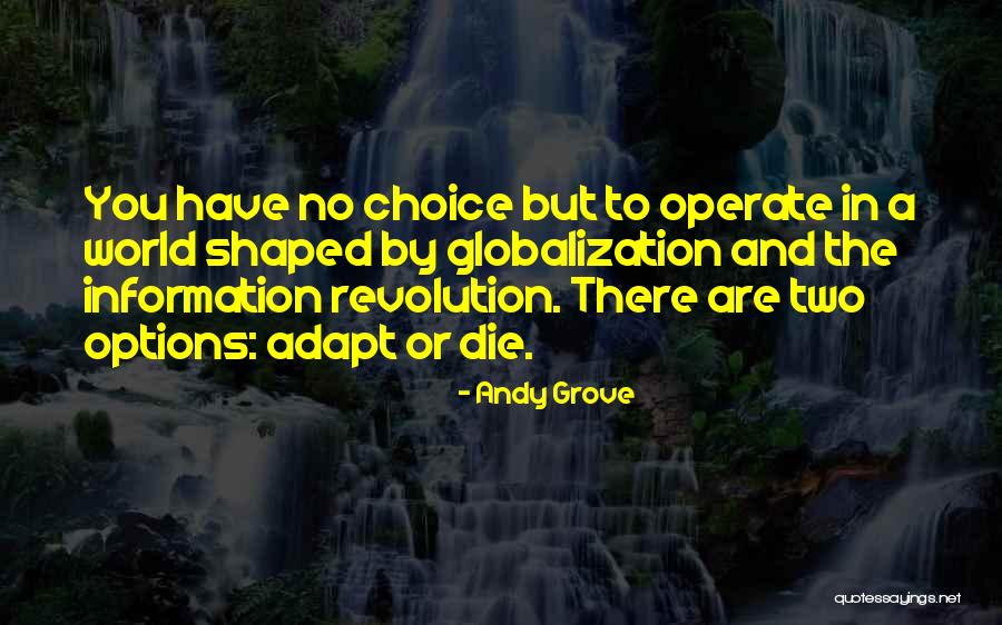 Options And Choices Quotes By Andy Grove