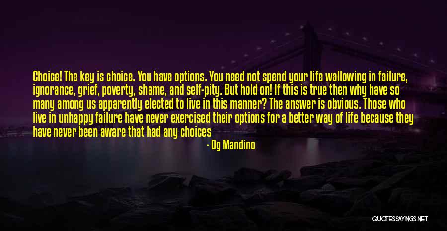 Options And Choices Quotes By Og Mandino