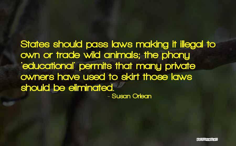 Opvoeden Labrador Quotes By Susan Orlean Opvoeden Labrador Quotes By Susan Orlean