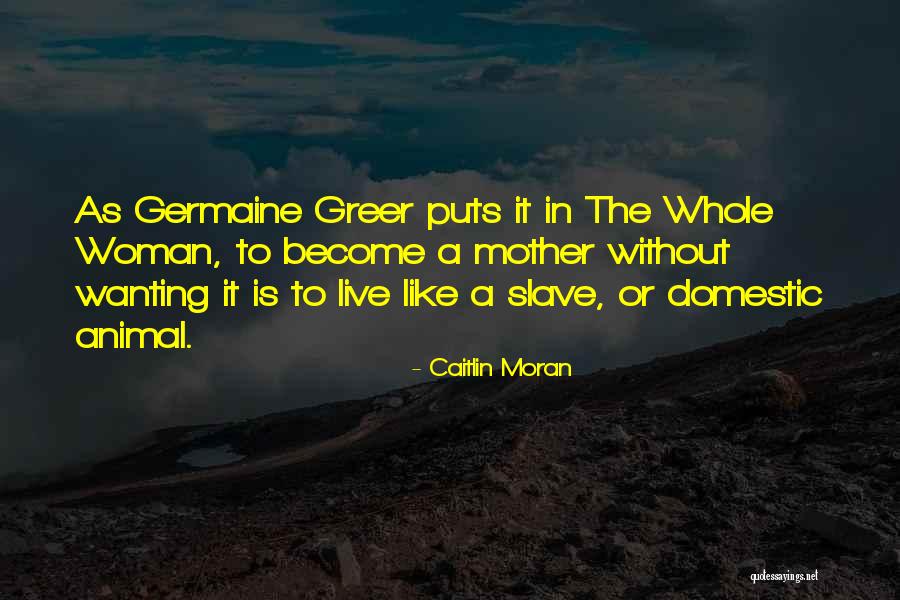 Or Domestic Quotes By Caitlin Moran Or Domestic Quotes By Caitlin Moran
