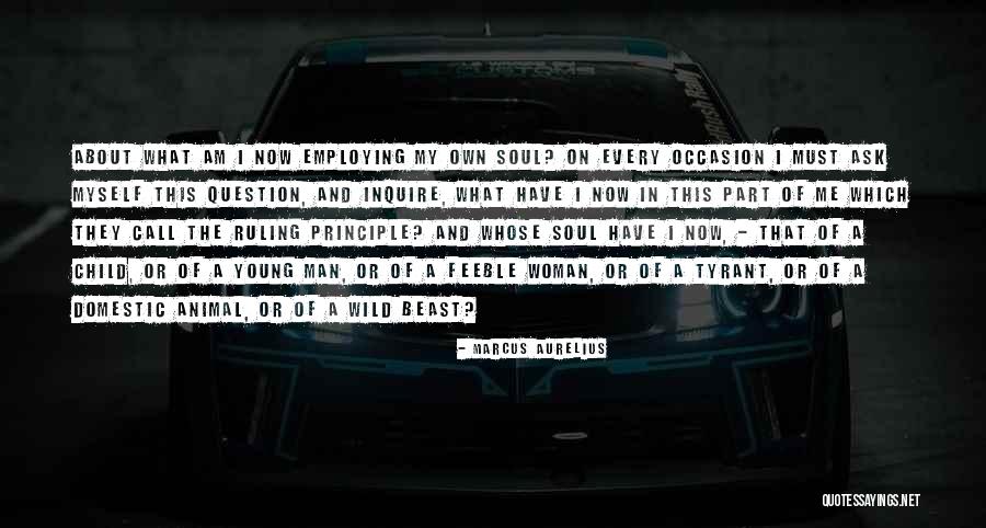 Or Domestic Quotes By Marcus Aurelius Or Domestic Quotes By Marcus Aurelius