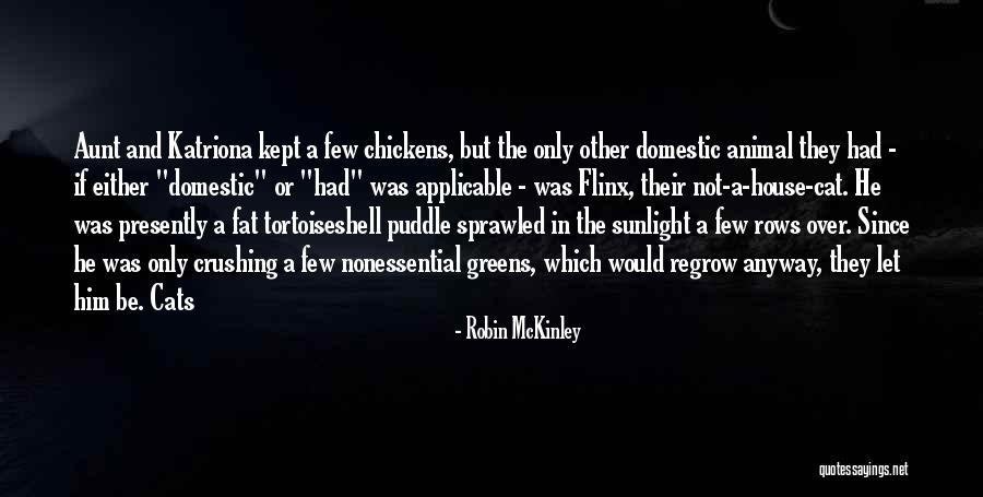Or Domestic Quotes By Robin McKinley Or Domestic Quotes By Robin McKinley