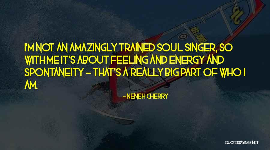 Or Identity Guard Quotes By Neneh Cherry Or Identity Guard Quotes By Neneh Cherry