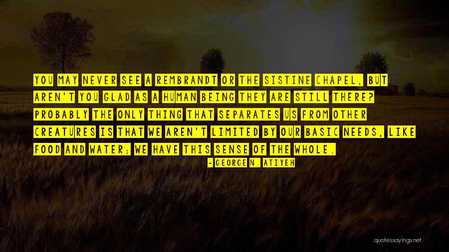 Or Identity Thief Quotes By George N. Atiyeh Or Identity Thief Quotes By George N. Atiyeh