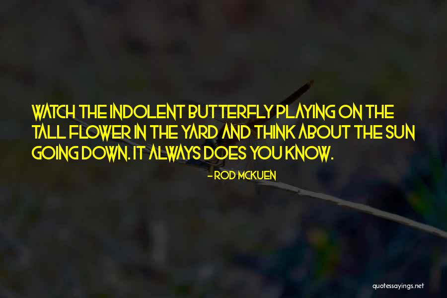 Oracle Pl Sql Escape Quotes By Rod McKuen Oracle Pl Sql Escape Quotes By Rod McKuen