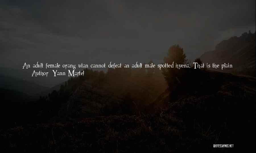 Orang Quotes By Yann Martel