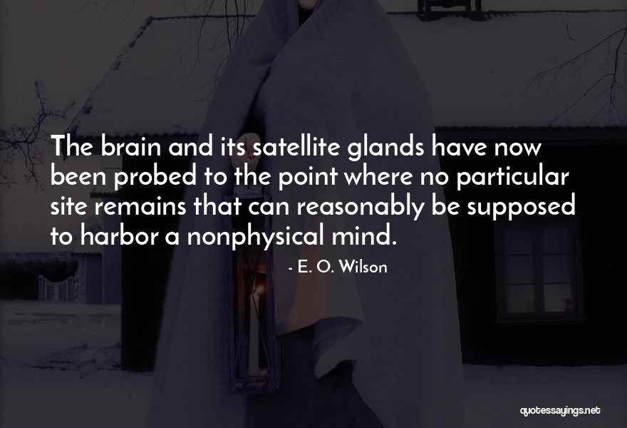 Orang Tua Career Quotes By E. O. Wilson Orang Tua Career Quotes By E. O. Wilson