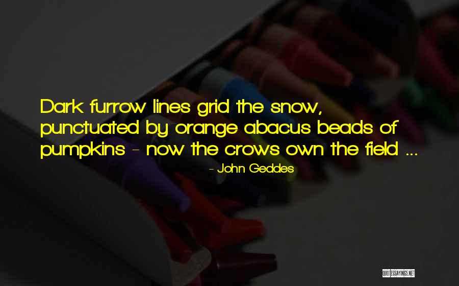 Orange Abacus Quotes By John Geddes Orange Abacus Quotes By John Geddes