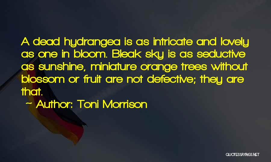 Orange Blossom Quotes By Toni Morrison