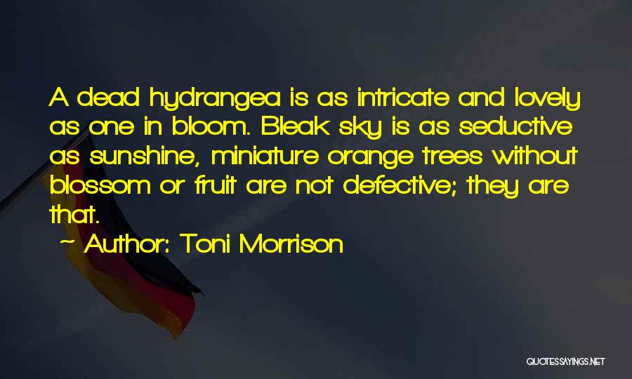 Orange Fruit Quotes By Toni Morrison