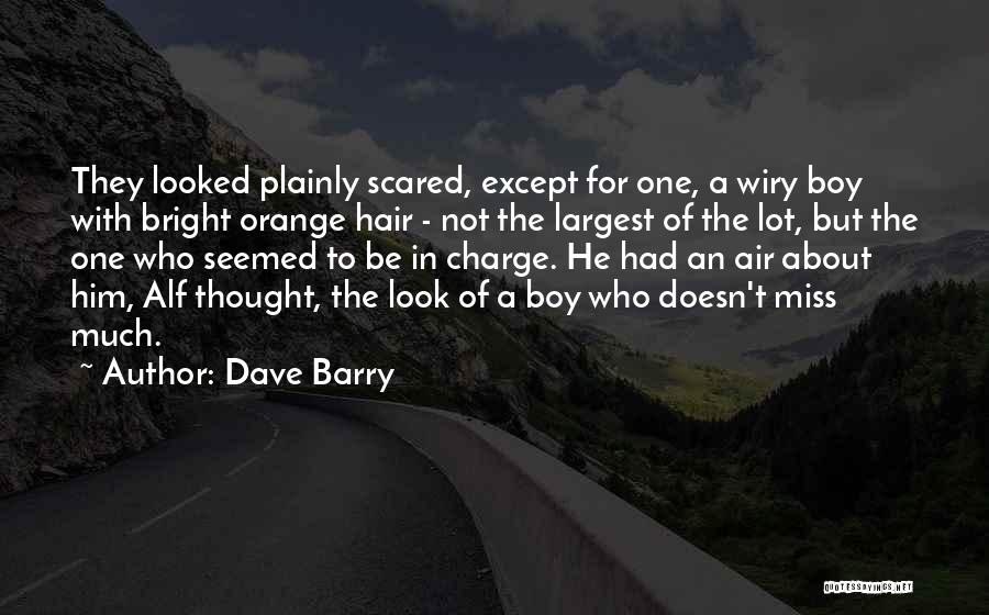 Orange Hair Quotes By Dave Barry