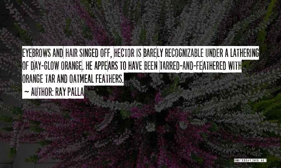 Orange Hair Quotes By Ray Palla Orange Hair Quotes By Ray Palla