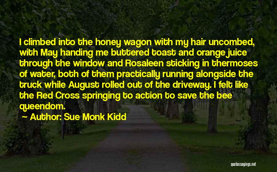 Orange Hair Quotes By Sue Monk Kidd