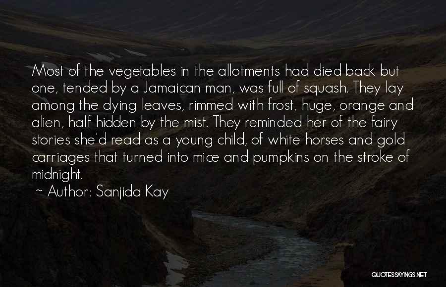 Orange Leaves Quotes By Sanjida Kay