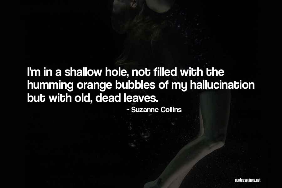 Orange Leaves Quotes By Suzanne Collins