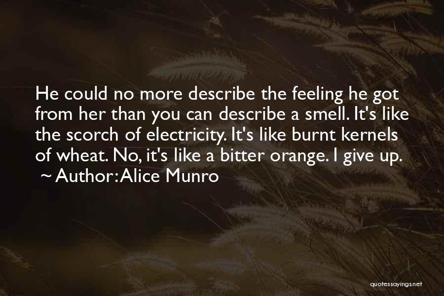Orange Quotes By Alice Munro