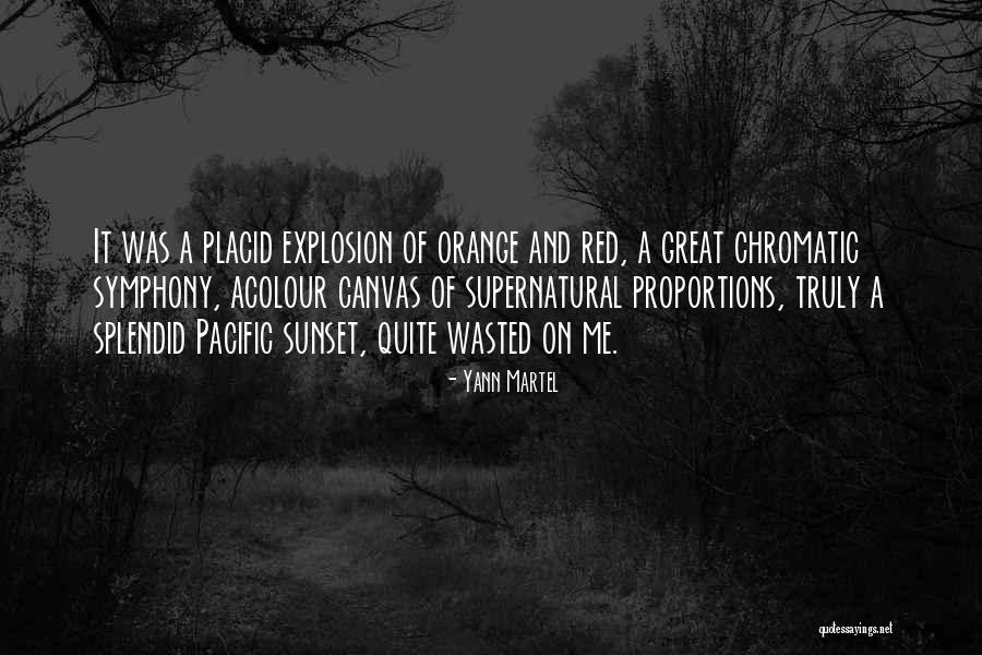 Orange Quotes By Yann Martel