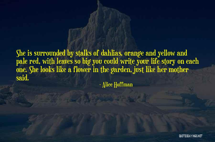 Orange Red Quotes By Alice Hoffman Orange Red Quotes By Alice Hoffman