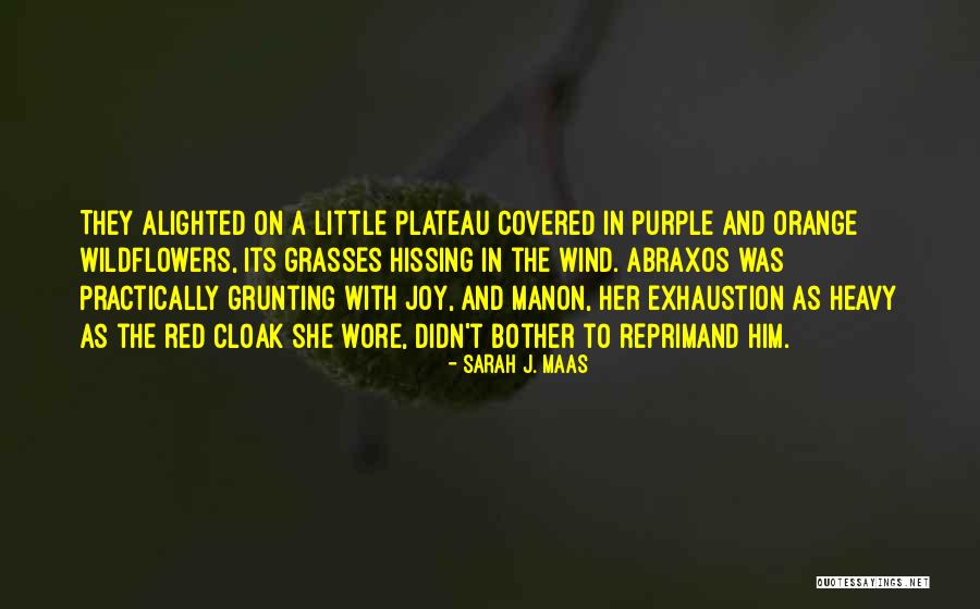 Orange Red Quotes By Sarah J. Maas Orange Red Quotes By Sarah J. Maas