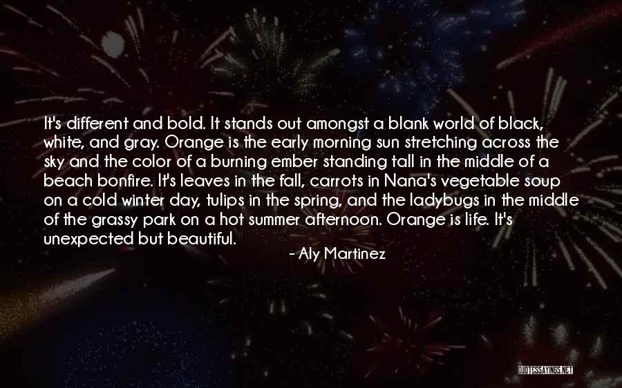 Orange Sky Quotes By Aly Martinez