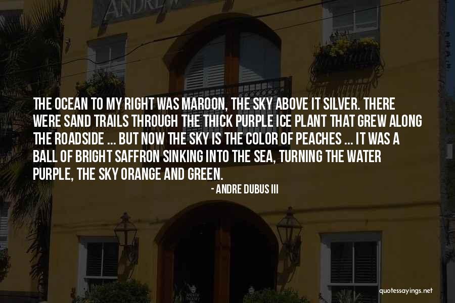 Orange Sky Quotes By Andre Dubus III