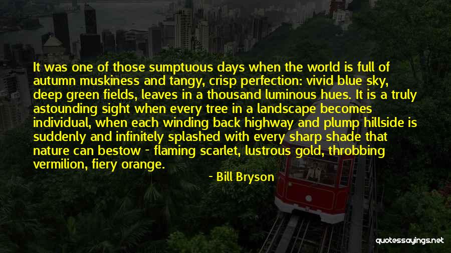 Orange Sky Quotes By Bill Bryson