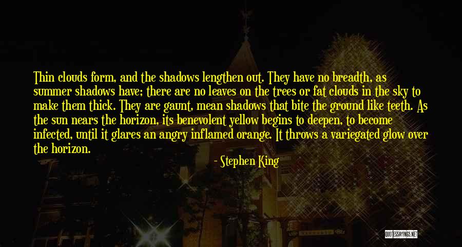 Orange Sky Quotes By Stephen King