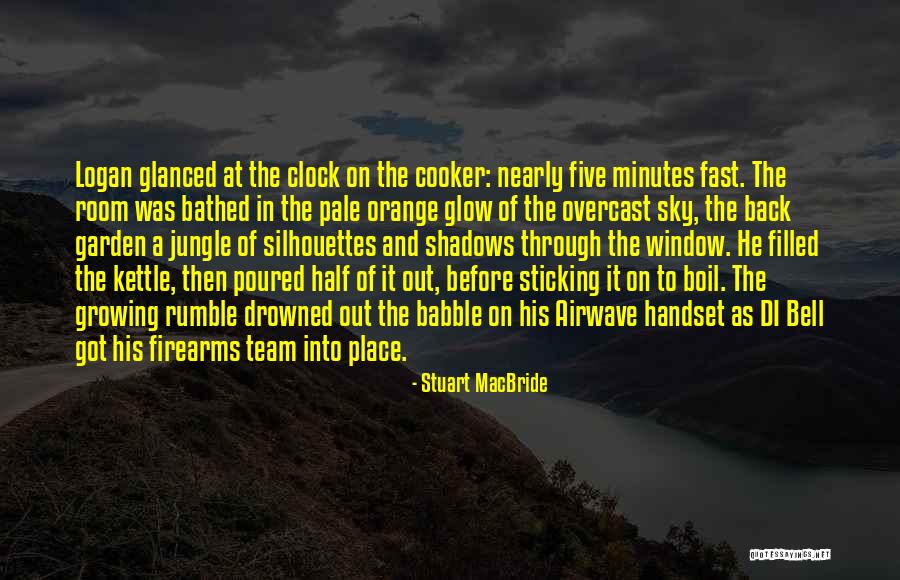 Orange Sky Quotes By Stuart MacBride